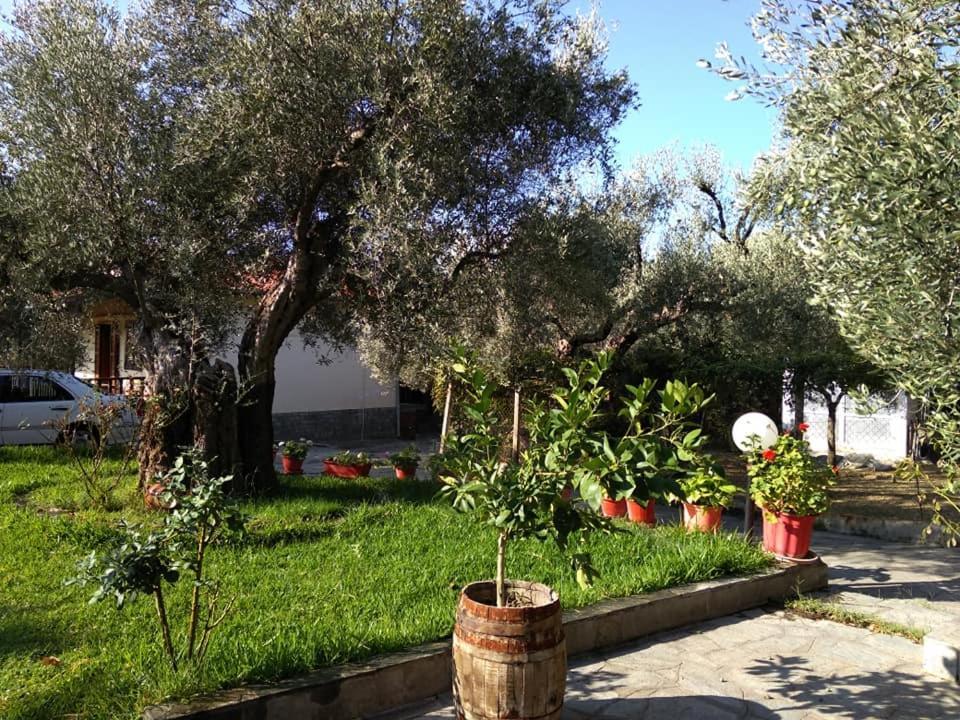 Villa Asimidou Agia Paraskevi  Buitenkant foto