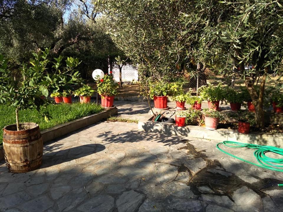 Villa Asimidou Agia Paraskevi  Buitenkant foto