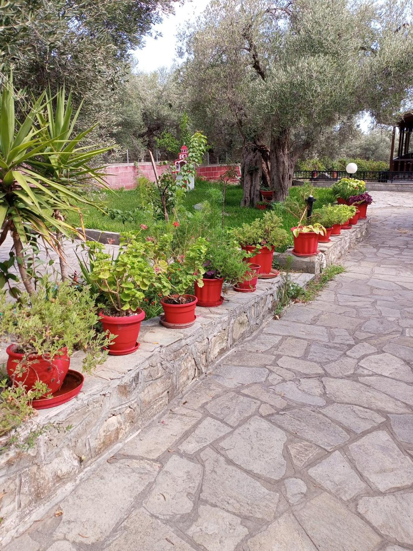 Villa Asimidou Agia Paraskevi  Buitenkant foto
