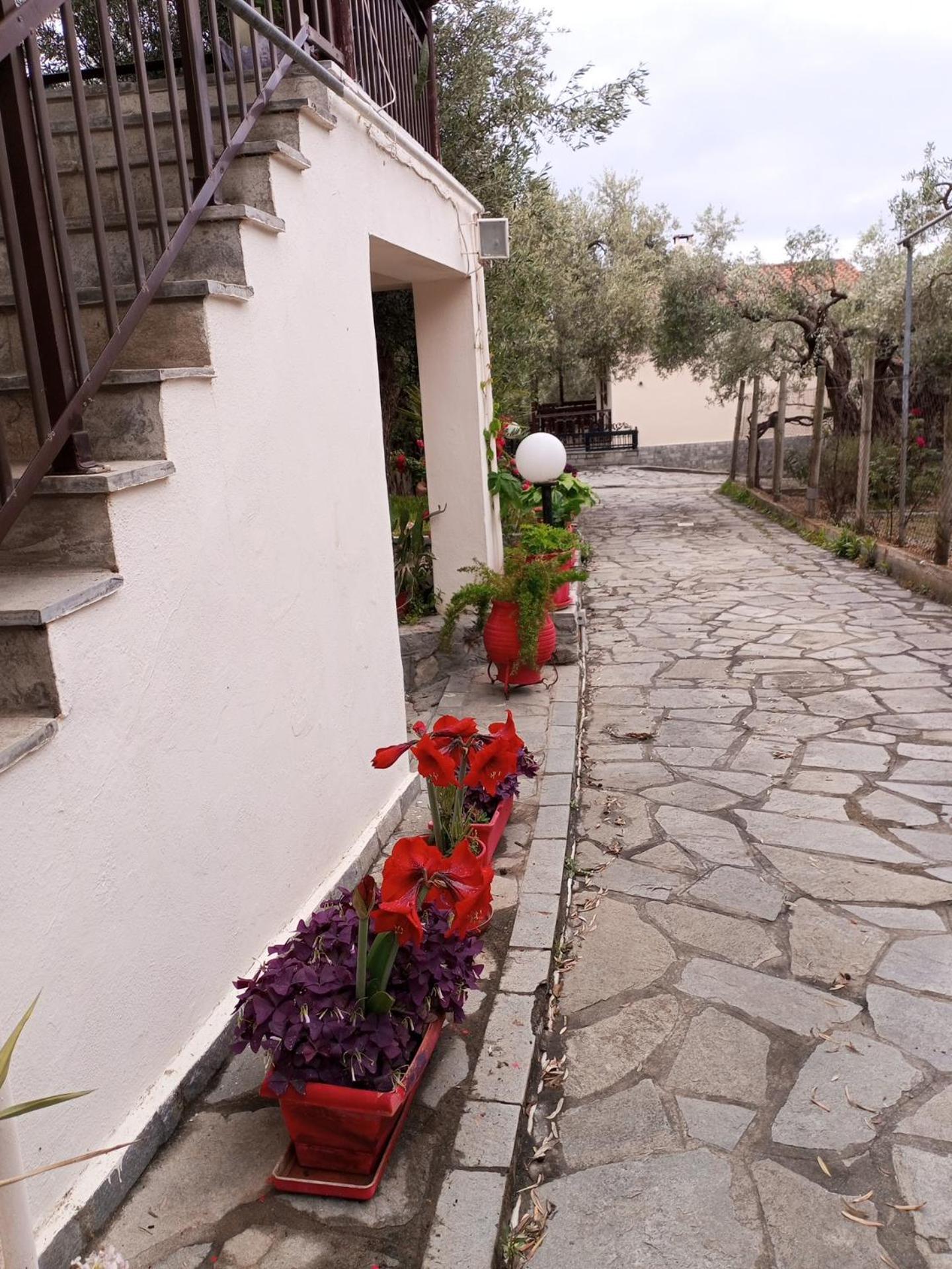 Villa Asimidou Agia Paraskevi  Buitenkant foto