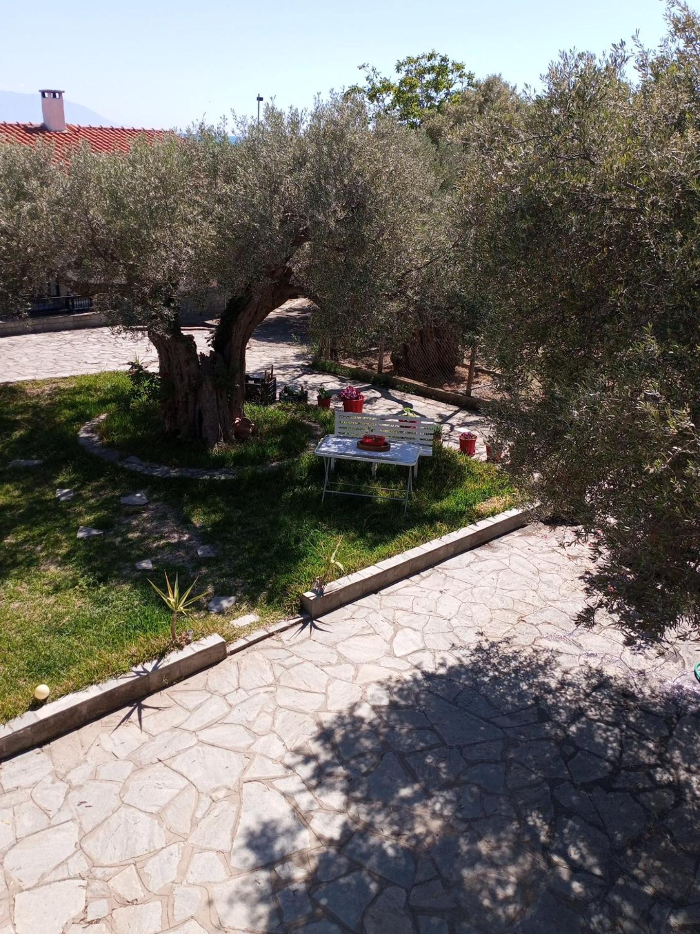 Villa Asimidou Agia Paraskevi  Buitenkant foto